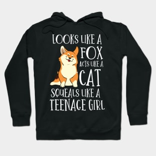 Looks Like a Fox acts like a cat squeals like a teenage girl Hoodie